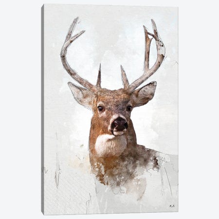 White Tail Deer Canvas Print #GRC127} by Greg & Company Art Print