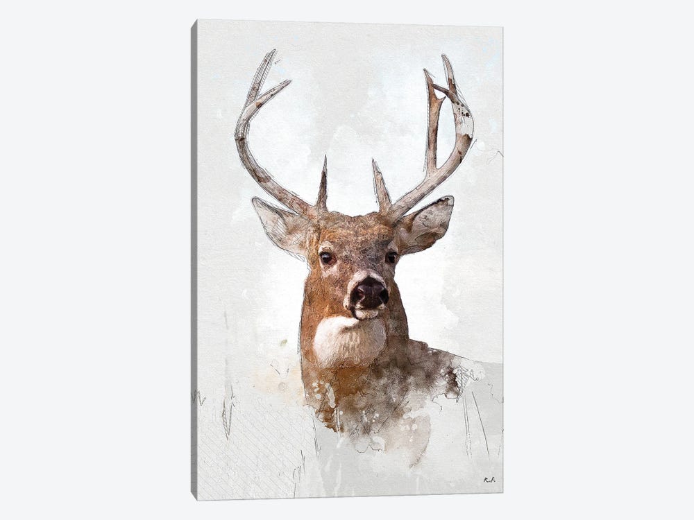 White Tail Deer by Rob Francis 1-piece Canvas Print