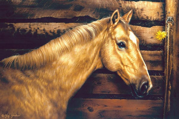 Greg & Company: Inside The Stall by Greg Giordano