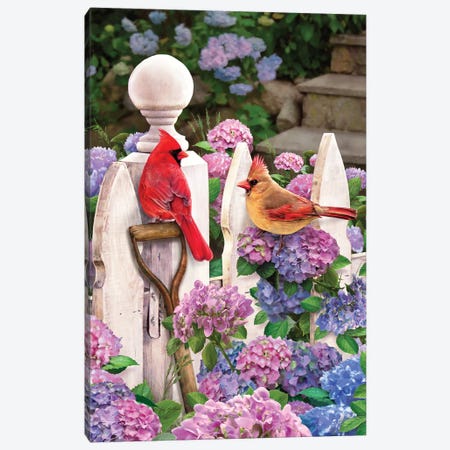 Cardinals On Fence W-Hydrangea Canvas Print #GRC12} by Greg Giordano Art Print