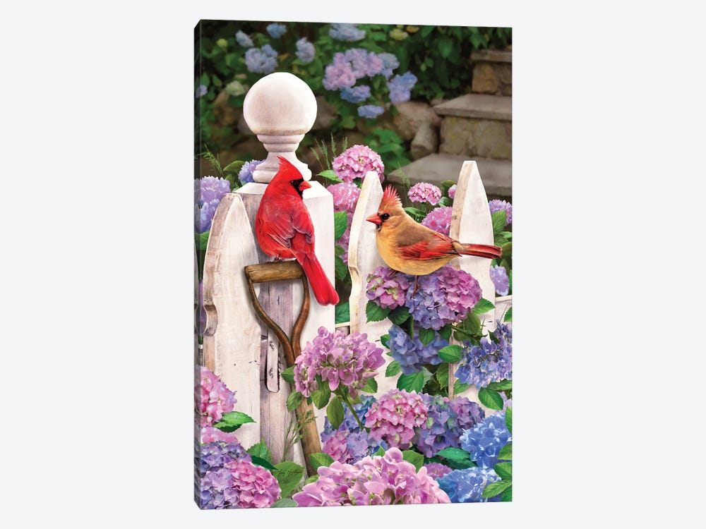 Cardinals On Fence W-Hydrangea by Greg Giordano 1-piece Canvas Artwork