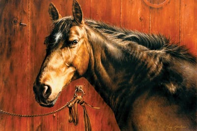 In For The Night by Greg Giordano canvas print