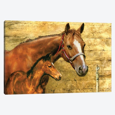 Mare And Foal Canvas Print #GRC131} by Greg & Company Art Print