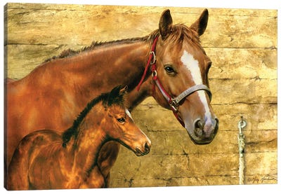 Mare And Foal Canvas Art Print