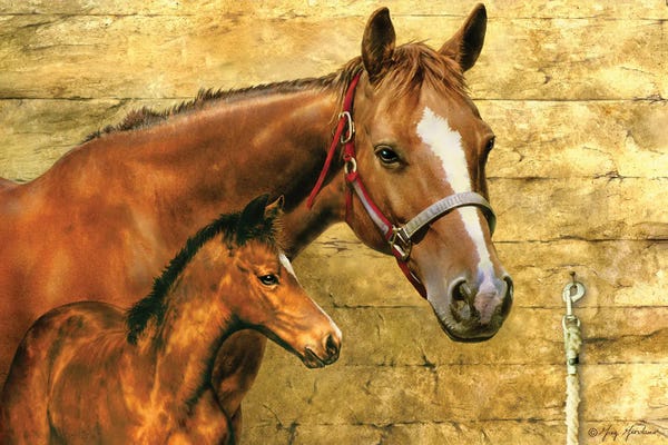 Greg & Company: Mare And Foal by Greg Giordano