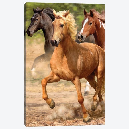 Galloping Horses Canvas Print #GRC132} by Greg Giordano Art Print
