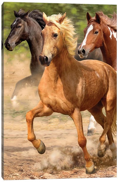 Galloping Horses Canvas Art Print