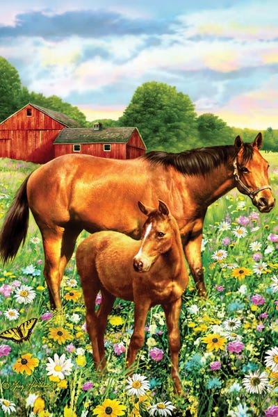 Mare And Foal II by Greg Giordano framed wall art