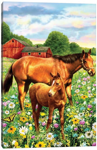 Mare And Foal II Canvas Art Print