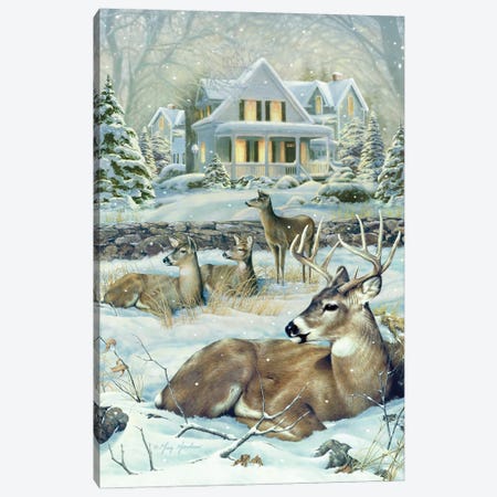 Winter Deer Canvas Print #GRC135} by Greg Giordano Canvas Wall Art