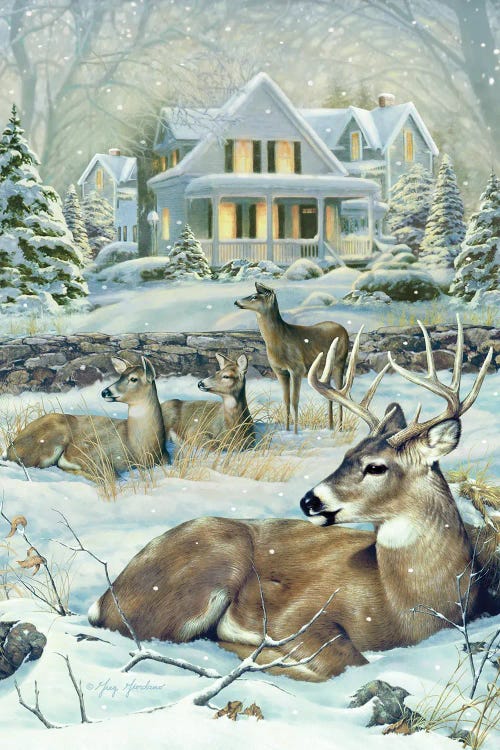 Winter Deer