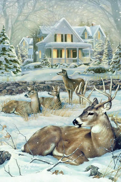 Rustic Winter: Winter Deer by Greg Giordano