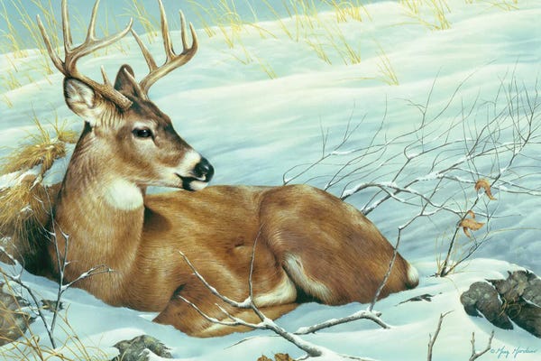 Rustic Winter: Afternoon Siesta by Greg Giordano