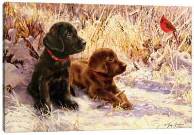 Black & Chocolate Labs Canvas Art Print - Labrador Retriever Art
