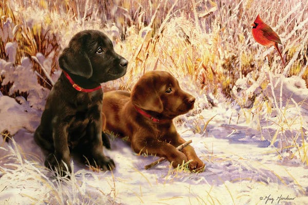 Baby Animals: Black & Chocolate Labs by Greg Giordano