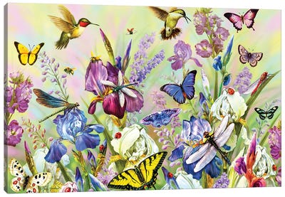 Hummingbird & Dragonflies Canvas Art Print - Dragonfly Art