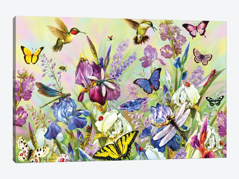 Hummingbird & Dragonflies by Greg Giordano 1-piece Canvas Print