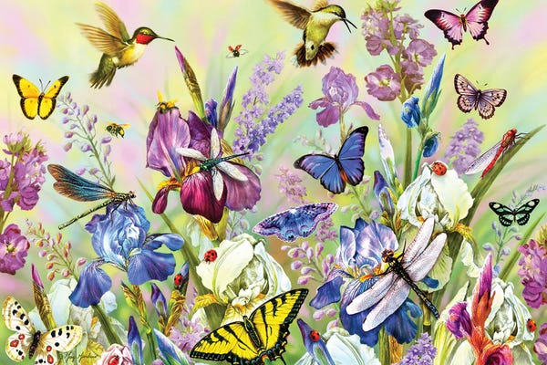 Butterflies and Flowers: Hummingbird & Dragonflies by Greg Giordano