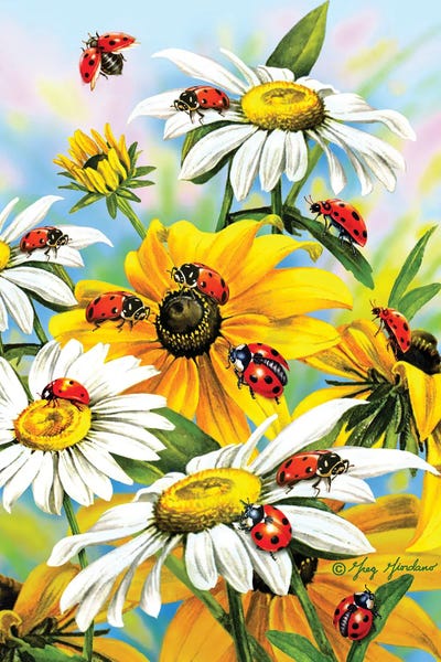 Ladybug by Greg Giordano framed wall art