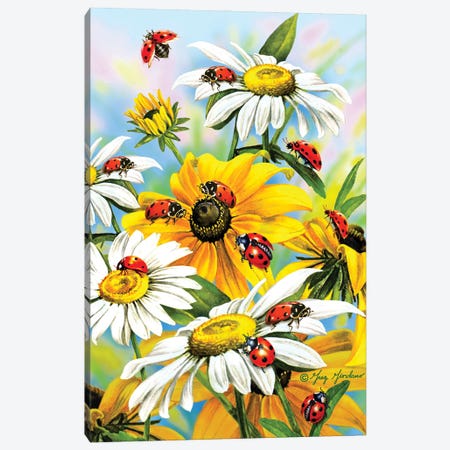 Ladybug Canvas Print #GRC146} by Greg Giordano Canvas Print