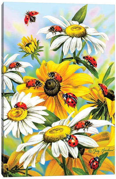 Ladybug Canvas Art Print - Ladybug Art