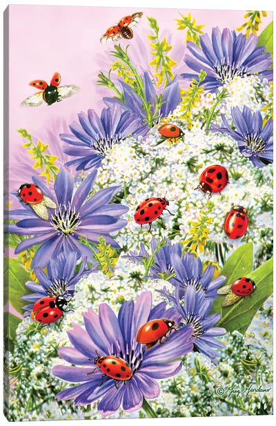 Lady Bugs II Canvas Art Print - Ladybug Art