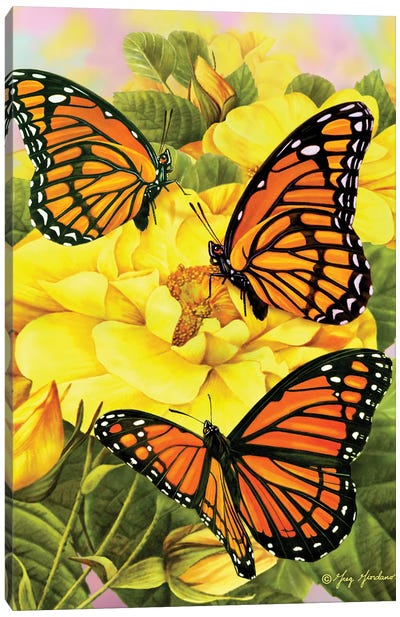 Monarch Butterflies Canvas Art Print - Monarch Butterflies