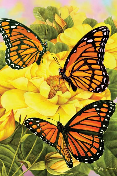 Butterflies and Flowers: Monarch Butterflies by Greg Giordano