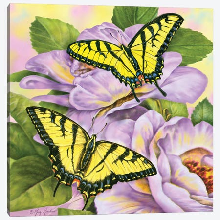 Swallowtail Butterflies Canvas Print #GRC149} by Greg Giordano Canvas Artwork