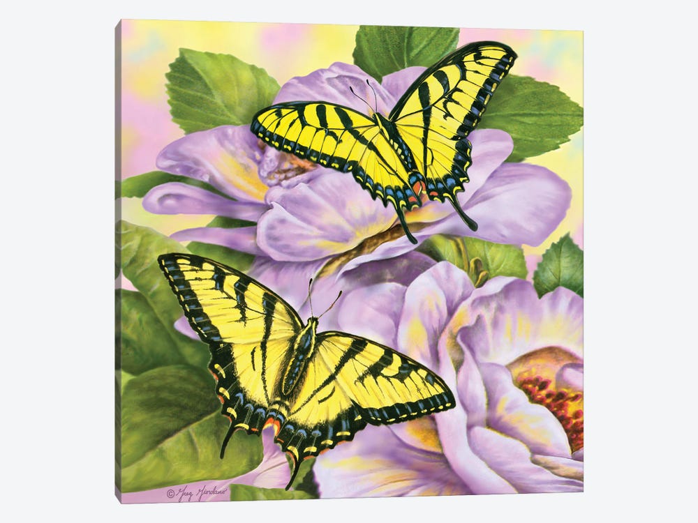 Swallowtail Butterflies by Greg Giordano 1-piece Art Print