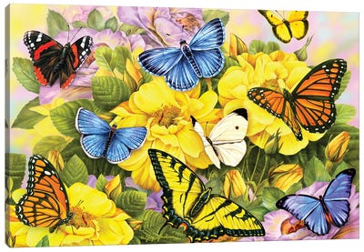 Multi-Colored Butterflies I Canvas Art Print - Monarch Butterflies