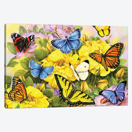 Multi Color Butterflies I Canvas Print #GRC150} by Greg & Company Canvas Art Print