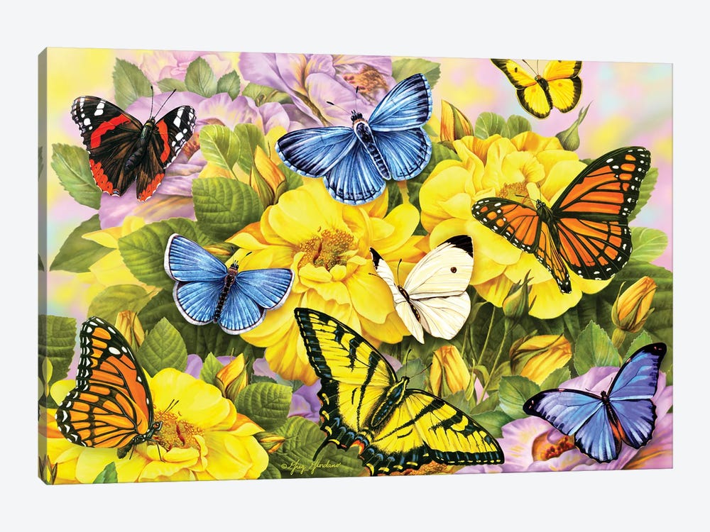 Multi-Colored Butterflies I by Greg Giordano 1-piece Canvas Art Print