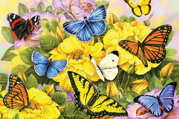 Greg & Company: Multi-Colored Butterflies I by Greg Giordano