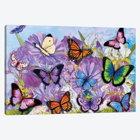 Multi-Colored Butterflies II Canvas Print #GRC151} by Greg Giordano Art Print