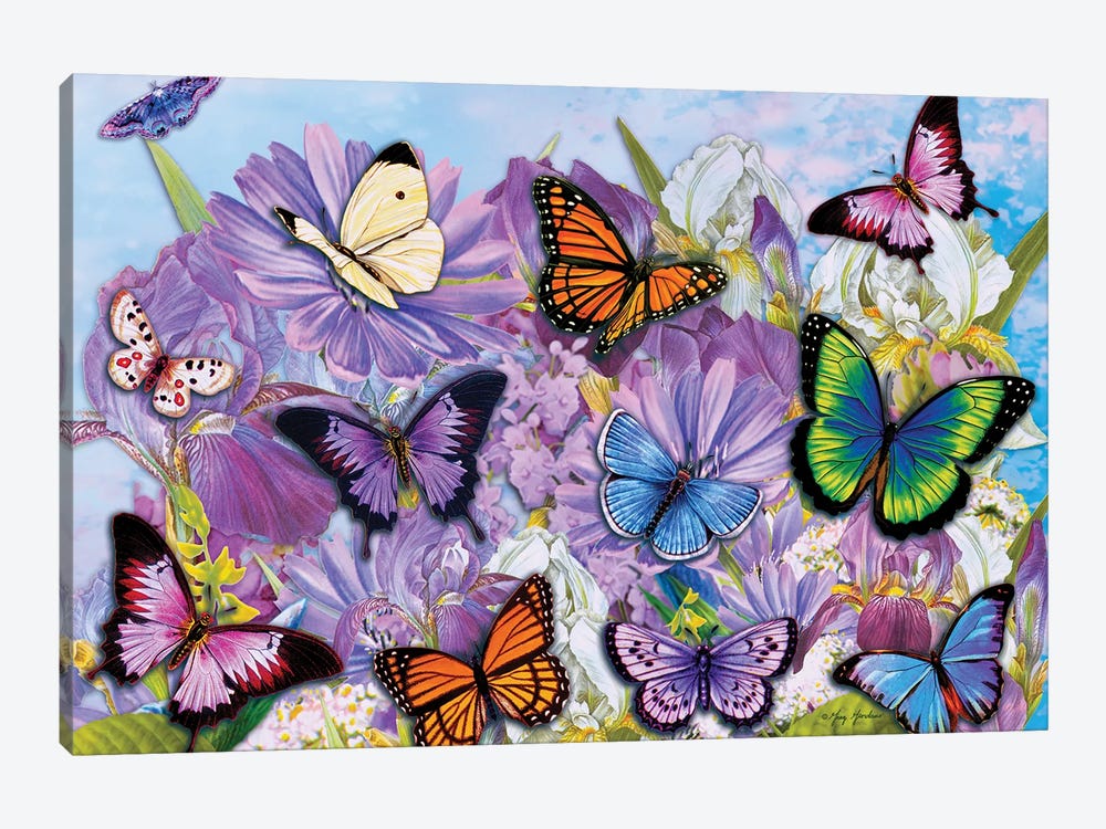 Multi-Colored Butterflies II by Greg Giordano 1-piece Canvas Artwork