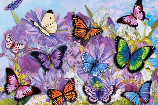 Butterflies and Flowers: Multi-Colored Butterflies II by Greg Giordano