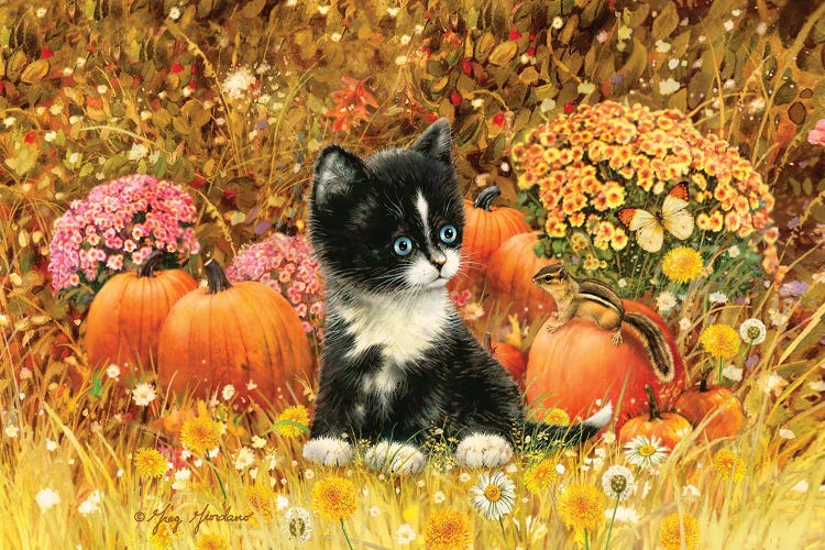 Fall Cat