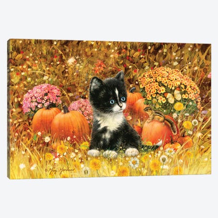 Fall Cat Canvas Print #GRC153} by Greg Giordano Canvas Art Print
