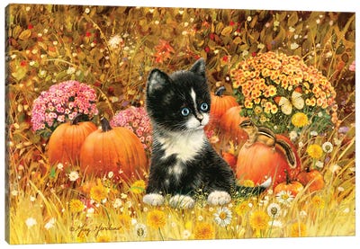 Fall Cat Canvas Art Print - Pumpkins
