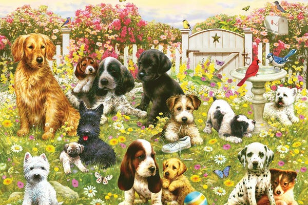 Dalmatians: Doggie Daycare by Greg Giordano