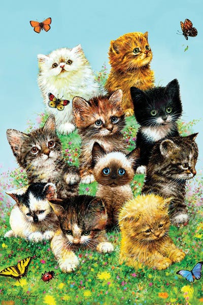 Kittens by Greg Giordano canvas print