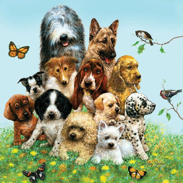 Beagles: Puppies by Greg Giordano