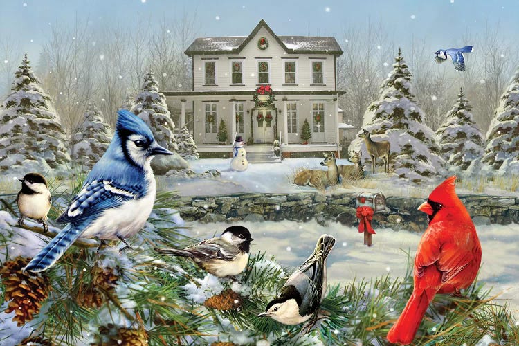 Christmas Birds And House