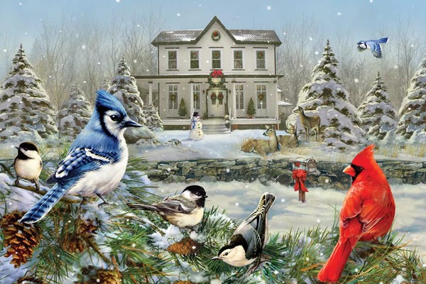 Christmas Birds And House