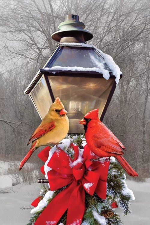 Christmas Cardinals by Greg Giordano wall art