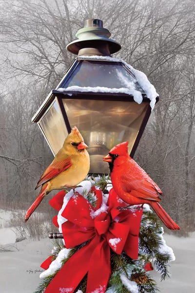 Greg & Company: Christmas Cardinals by Greg Giordano