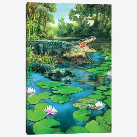 Alligators Canvas Print #GRC1} by Greg Giordano Canvas Print