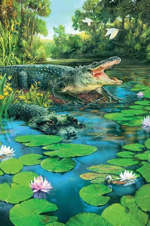 Alligators by Greg Giordano wall art