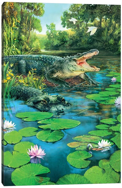 Alligators Canvas Art Print - Crocodile & Alligator Art